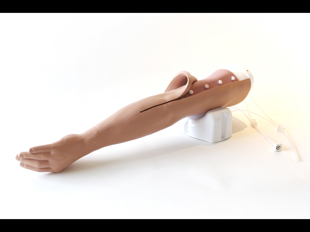 Advanced Venipuncture Arm (Light Skin Tone) (70300)