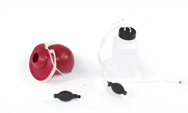 Postpartum Hemorrhage Module - PROMPT Flex (80101)