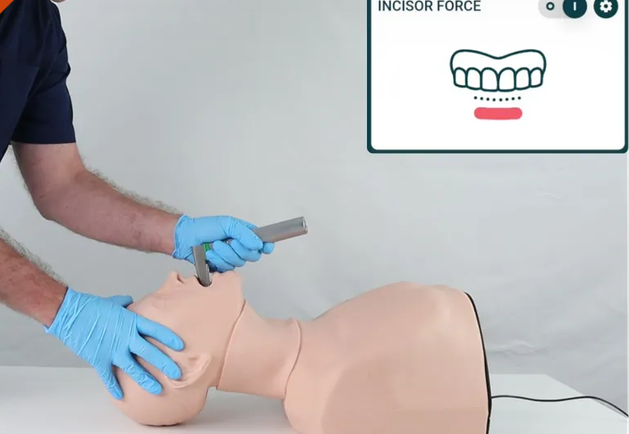Smart Airway - Adult (Light Skin Tone) (TCSAA10001)
