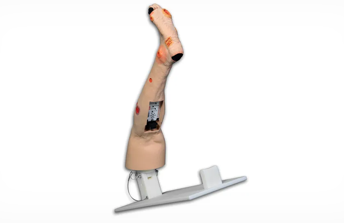 Annie Arterial Insufficiency Leg Model (VTA0555)