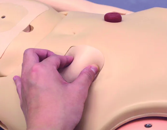 Examination Simulator II (KKMW-12)