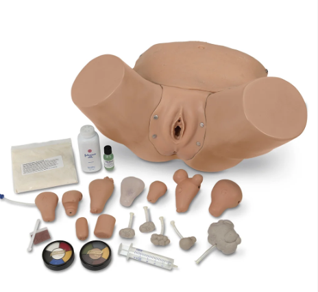 Advanced Pelvic Examination and Gynecological Simulator (LF01235)