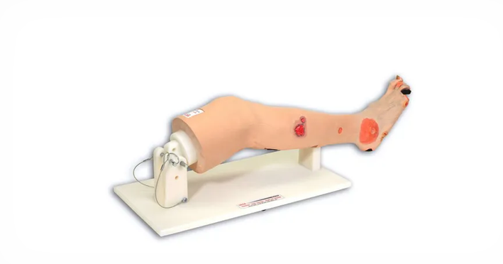 Annie Arterial Insufficiency Leg Model (VTA0555)