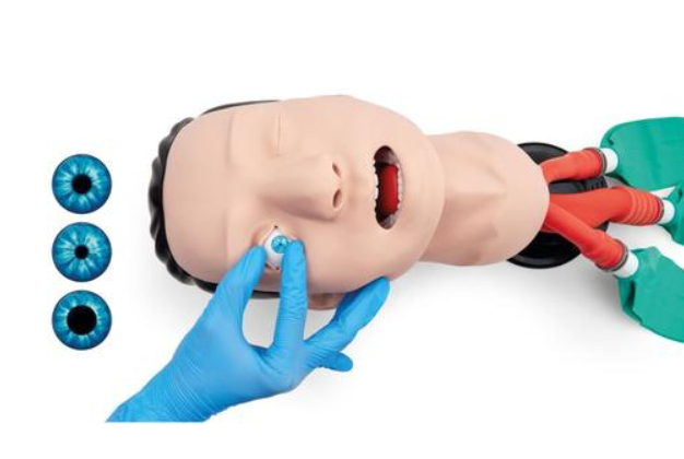 Airway Management Trainer, Light Skin (1026007 [P73])