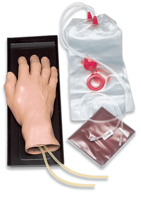 Nasco Right IV Training Hand [140-147 R]